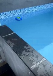 38 I Suites (D15), Apartment #455810391